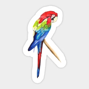 Parrot Sticker